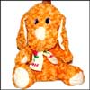 Dog Teddy -BST 3010 - Click here to View more details about this Product